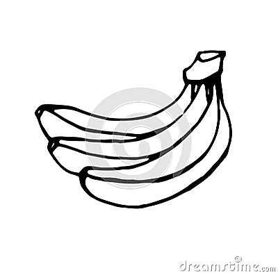 bananas, black outline Vector Illustration